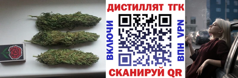 ТГК жижа  Болотное 