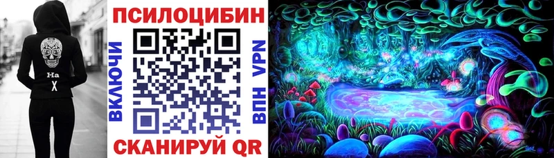 MEGA ССЫЛКА где купить наркоту Болотное Псилоцибиновые грибы ЛСД